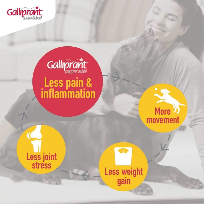 110001 product detail number 1.0