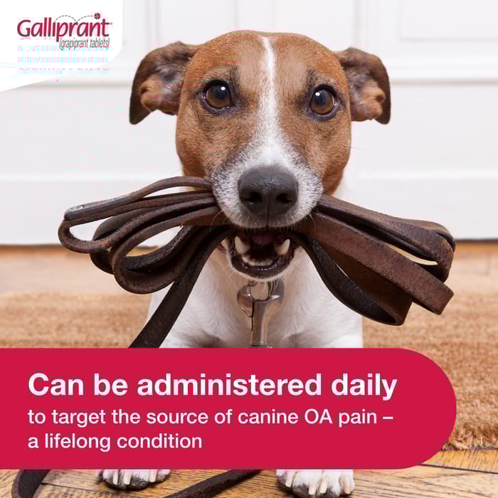 110001 product detail number 1.0