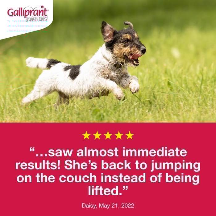 110001 product detail number 1.0