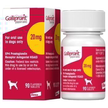 Galliprant Osteoarthritis Treatment Chewable Tablets for Dogs - 20 mg, 90 ct-product-tile