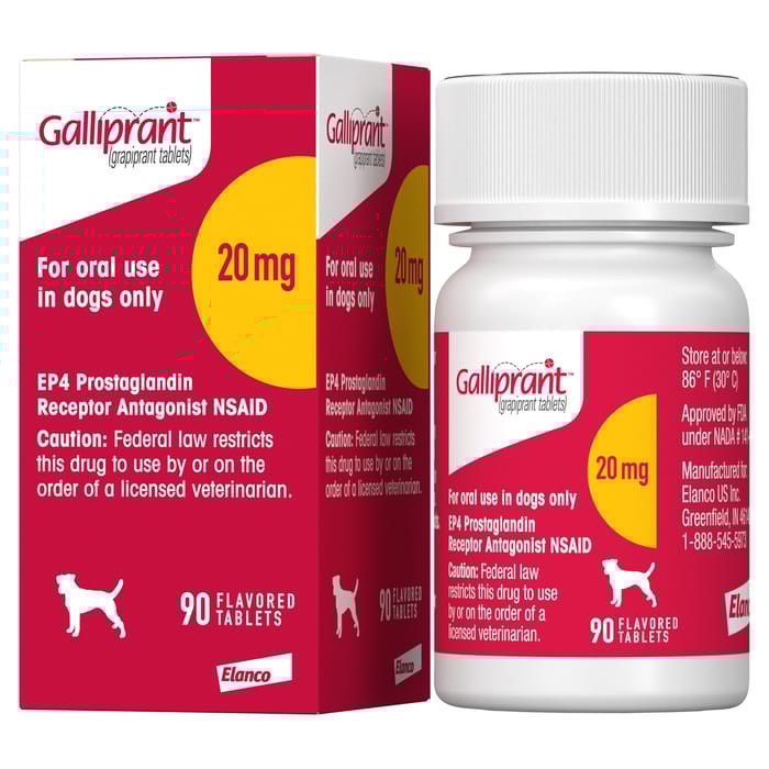 Galliprant Osteoarthritis Treatment Chewable Tablets for Dogs - 20 mg, 90 ct product detail number 1.0