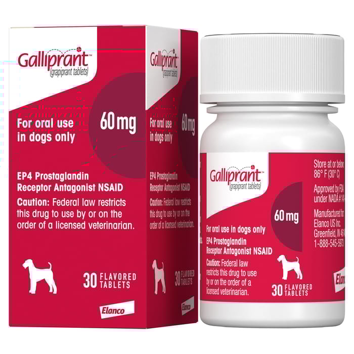 Galliprant Osteoarthritis Treatment Chewable Tablets for Dogs - 60 mg, 30 ct product detail number 1.0