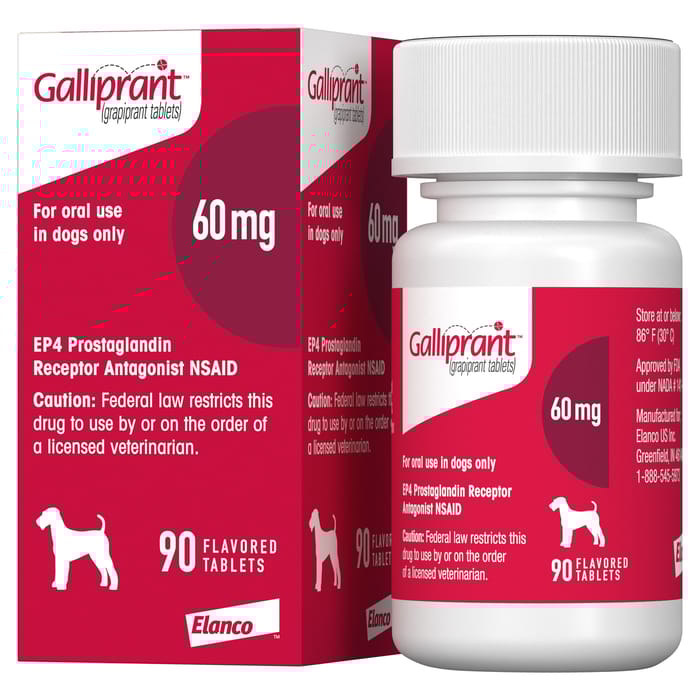 Galliprant Osteoarthritis Treatment Chewable Tablets for Dogs - 60 mg, 90 ct product detail number 1.0