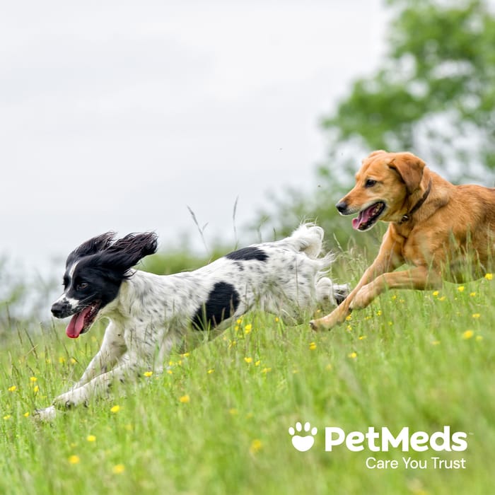 11019 product detail number 1.0