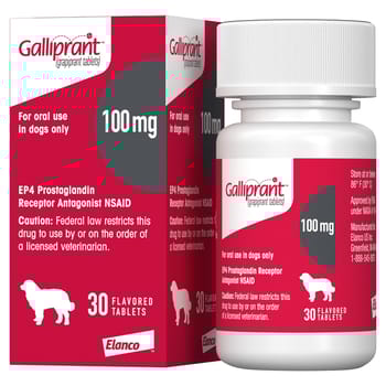 Galliprant Osteoarthritis Treatment Chewable Tablets for Dogs - 100 mg, 30 ct-product-tile