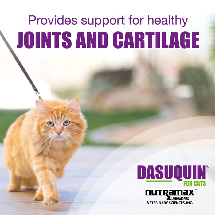 10913 product detail number 1.0