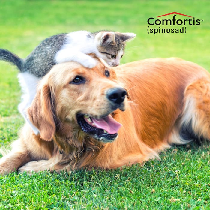 11035 product detail number 1.0