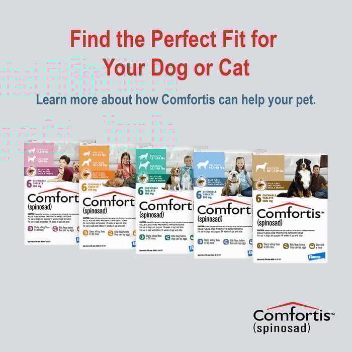 11035 product detail number 1.0