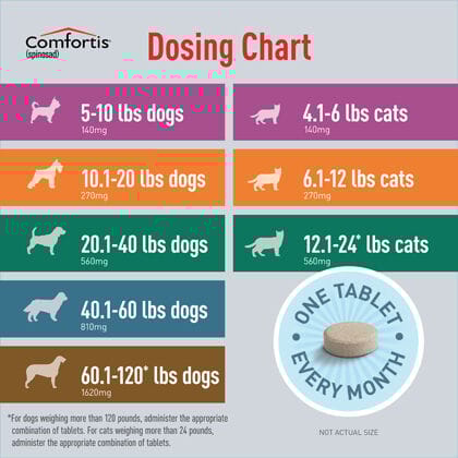 11039 product detail number 1.0