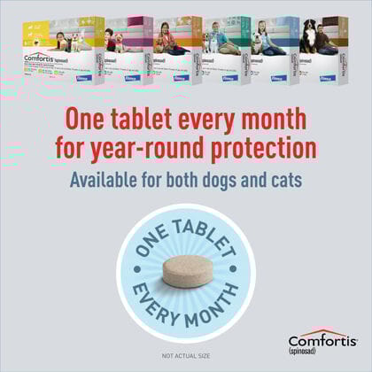 11039 product detail number 1.0