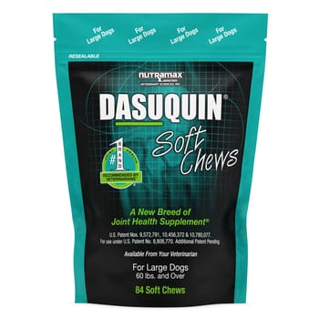 Nutramax Dasuquin Joint Health Supplement - With Glucosamine, Chondroitin, ASU, Boswellia Serrata Extract, and Green Tea Extract Large dogs, 84 Soft Chews-product-tile