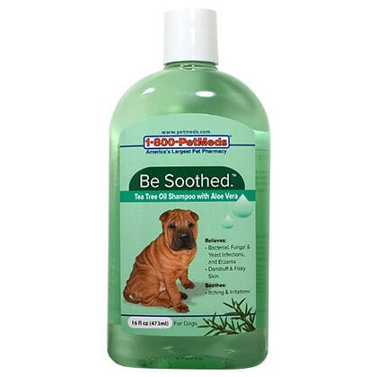 Be Soothed Shampoo w/ Aloe & Tea Tree Oil 16 oz product detail number 1.0