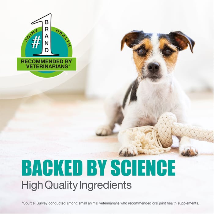 10913 product detail number 1.0