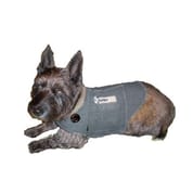 Thundershirt