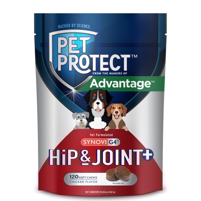 Pet Protect Synovi G4 Hip & Joint Supplement Soft Chews for Dogs 120 ct product detail number 1.0