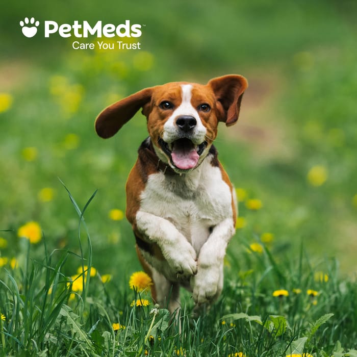 11480 product detail number 1.0