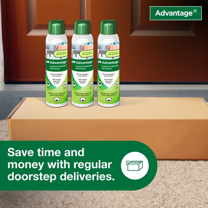 11585 product detail number 1.0