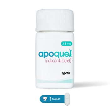 Apoquel for Dogs 3.6 mg (sold per tablet)-product-tile