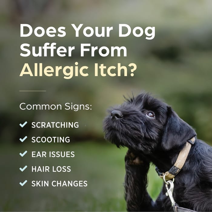 11700 product detail number 1.0