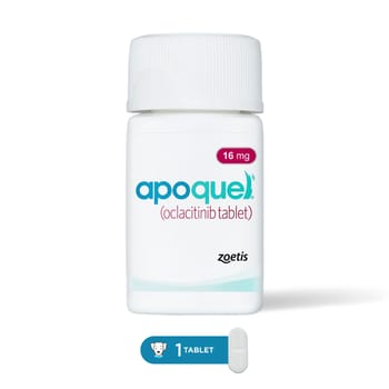 Apoquel for Dogs 16 mg (sold per tablet)-product-tile
