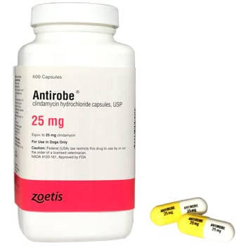 Antirobe 25 mg (sold per capsule)-product-tile