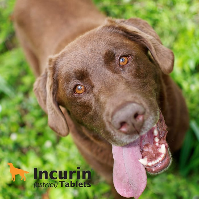 11742 product detail number 1.0