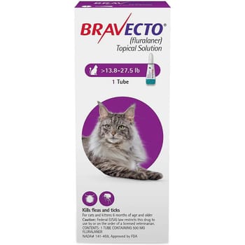 Bravecto for Cats-product-tile