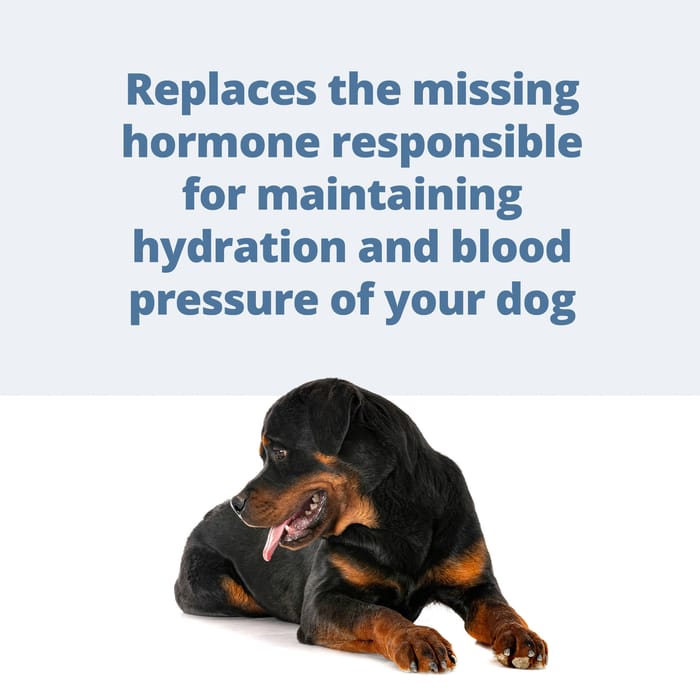 11812 product detail number 1.0