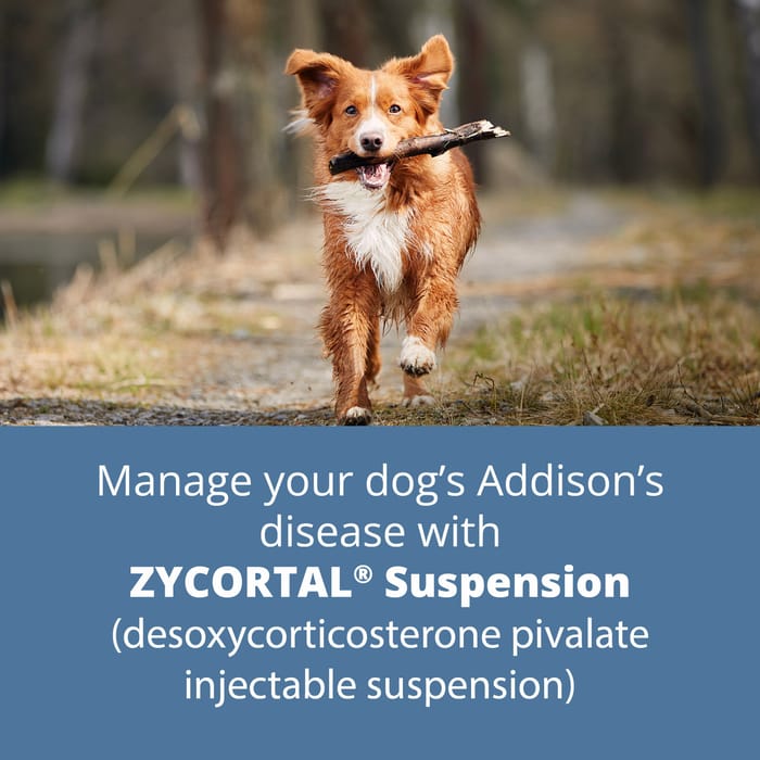 11812 product detail number 1.0