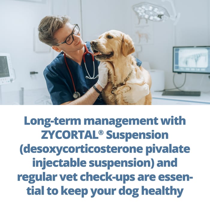 11812 product detail number 1.0