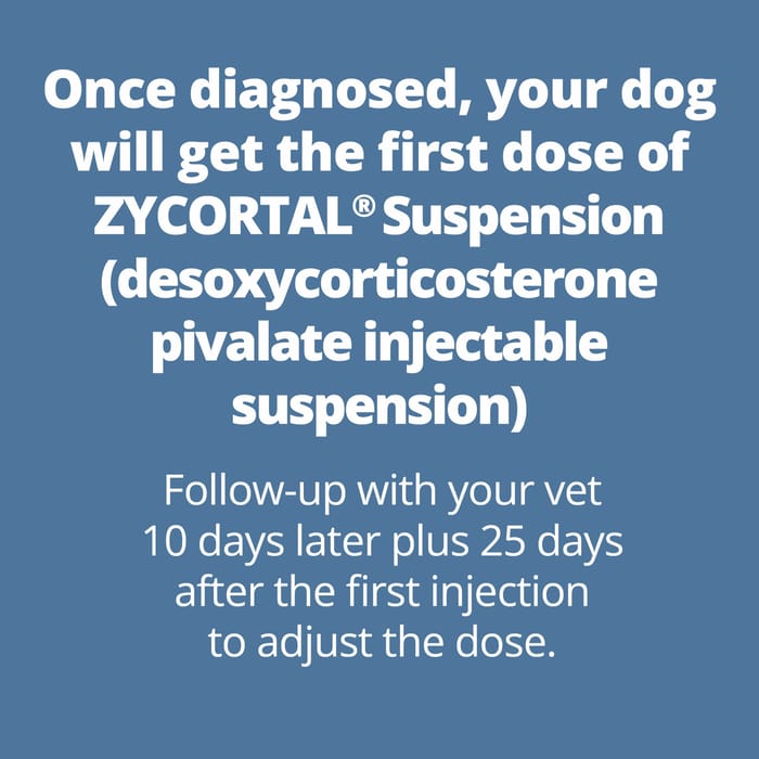 11812 product detail number 1.0