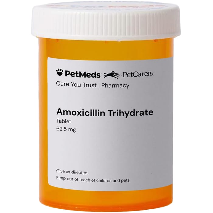 Amoxicillin Trihydrate and Clavulanate Potassium Tablets 62.5 mg (sold per tablet) product detail number 1.0