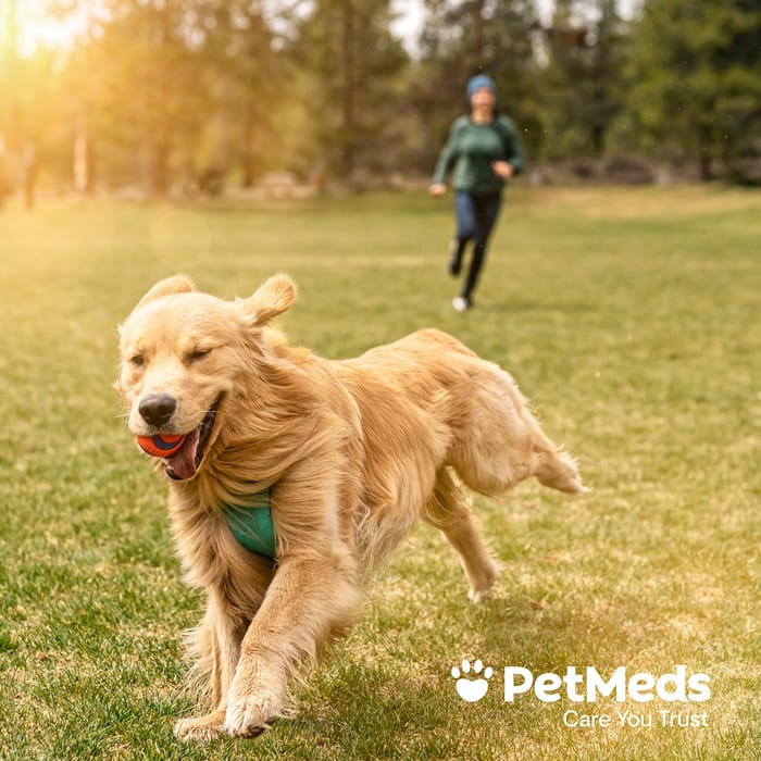 11841 product detail number 1.0