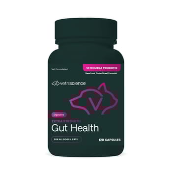 VetriScience Extra Strength Gut Health Capsules for Dogs 120 Capsules-product-tile