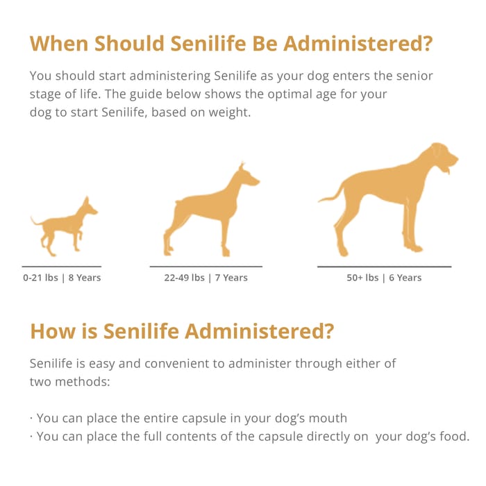 11874 product detail number 1.0