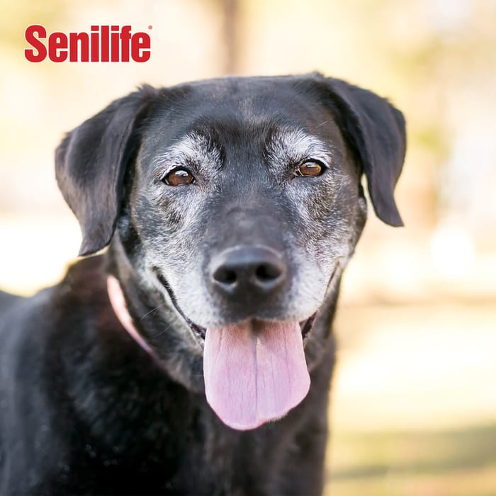 11874 product detail number 1.0