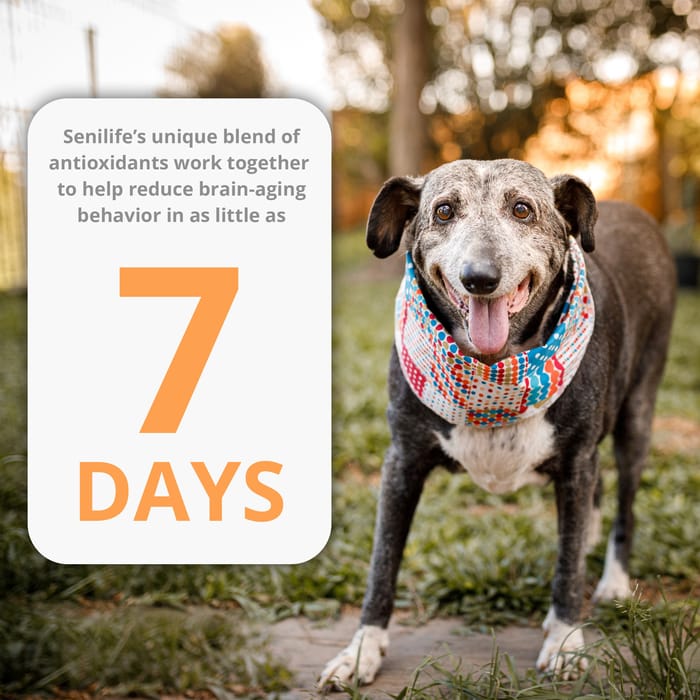 11874 product detail number 1.0