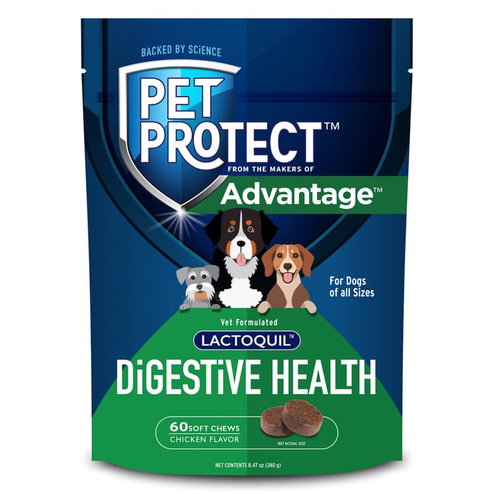Pet Protect Lactoquil Digestive Health Soft Chew Supplement for Dogs 60 ct product detail number 1.0