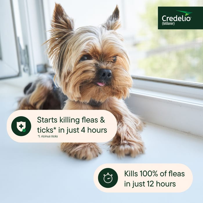 11932 product detail number 1.0