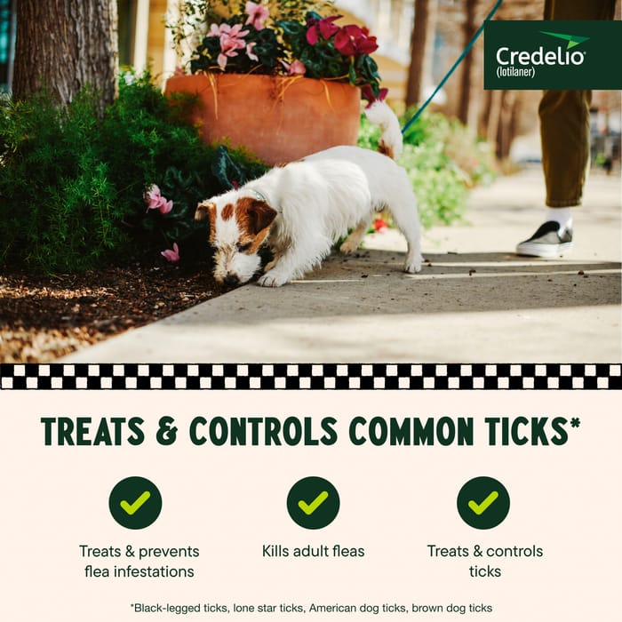 11933 product detail number 1.0