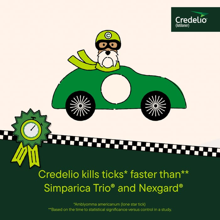 11933 product detail number 1.0