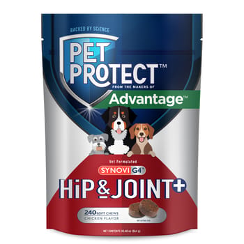 Pet Protect Synovi G4 Hip & Joint Supplement Soft Chews for Dogs 240 ct-product-tile