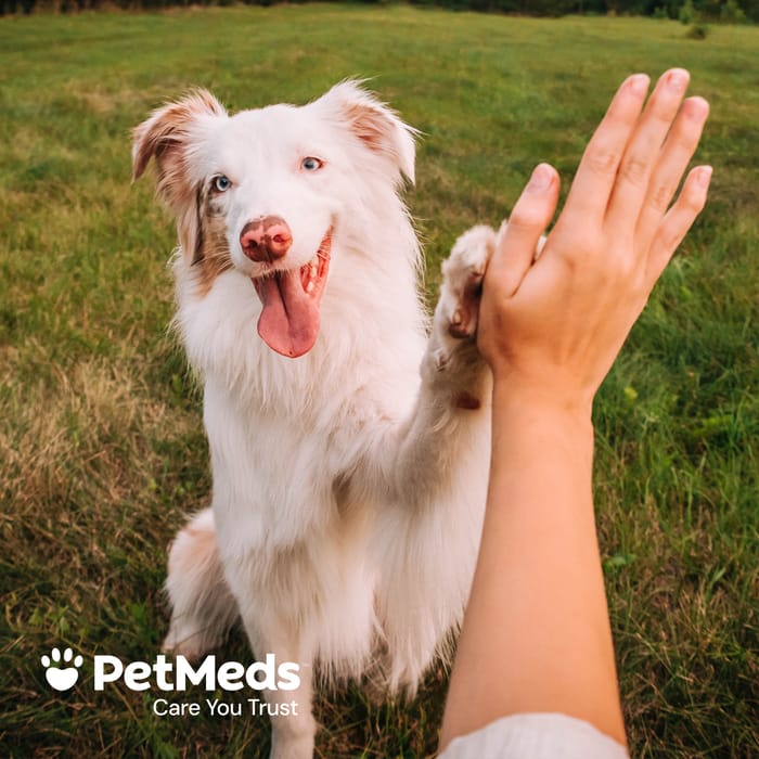 11997 product detail number 1.0