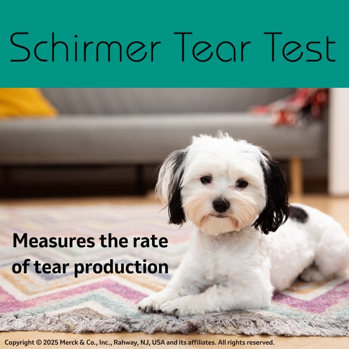 12047 product detail number 1.0