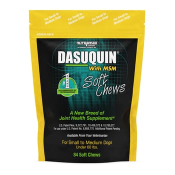 Nutramax Dasuquin Joint Health Supplement - With Glucosamine, Chondroitin, ASU, MSM, Boswellia Serrata Extract, Green Tea Extract Small to Medium Dogs, 84 Soft Chews-product-tile