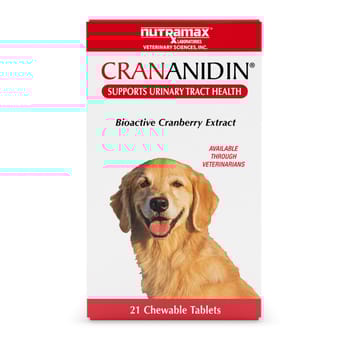 Nutramax Crananidin Cranberry Extract Urinary Tract Health Supplement for Dogs-product-tile