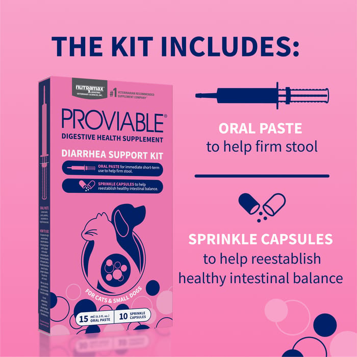 Proviable DC 30 Capsules – Digestive Supplement For Cats – 2-Pack (30 Capsules Each) – Exp 5/2026+