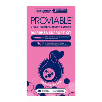 Nutramax Proviable Probiotics for Dogs and Cats Diarrhea Support Kit Digestive Health Supplement with Multiple Strains of Bacteria Plus Prebiotics Kaolin and Pectin Medium to Large Dogs, 30 mL Paste and 10 Capsules-product-tile