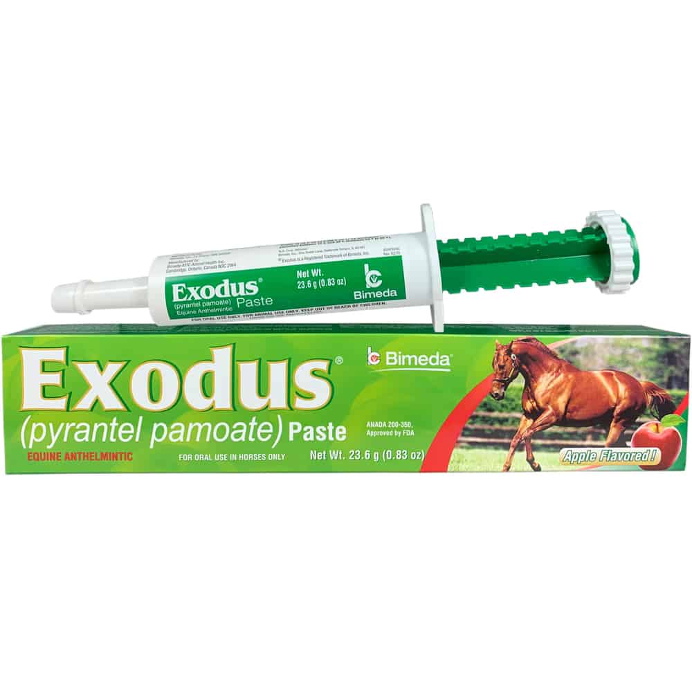 Exodus Paste