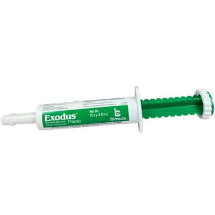 Exodus Paste